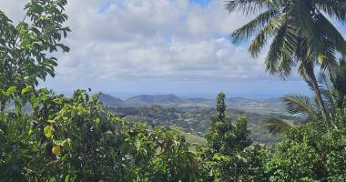 vente parcelle de 500 m2 à 10 min du bourg du marin