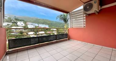 location grand studio à saint-denis, terrasse sans vis-à-vis, climatisé, parking sécurisé