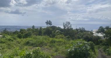 vend magnifique terrain plat vue mer à la possession-ravine à malheur ( environ 400 d'altitude).