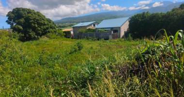 terrain constructible 501 m² – la rivière saint-louis – 159 000 €