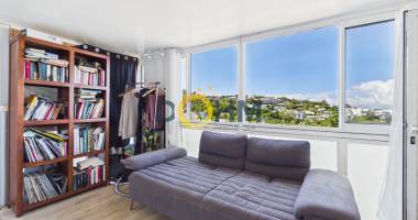 t2 bis lumineux avec vue panoramique aux avirons