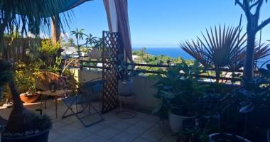 très bel appartement f2 avec jardin et vue mer