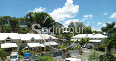 appartement t2 duplex (50m2) - résidence village fleury 97139 abymes