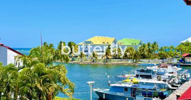 la marina : duplex t2/3 de 58 m2 vue bateaux & golf, 2 salles d'eau