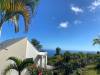 miniature