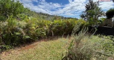 a louer beau t3 meublé avec varangue et jardin dans la residence les huppes de bourbon à la montagne