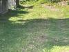 miniature