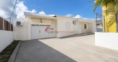 local professionnel ou commercial 252m2