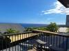 miniature