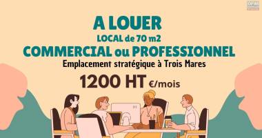 À louer – bureau professionnel de 70 m² à trois mares - le tampon