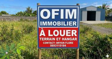À louer – terrain de 1 103 m² avec hangar et studio – sainte-marie