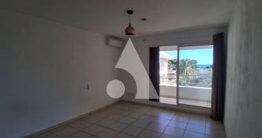 appartement saint denis 1 pièce(s) 24,46 m2