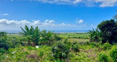 terrain constructible 500m2 avec vue mer à saint andré