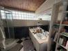 miniature
