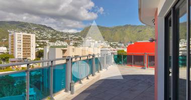 appartement saint denis 4 pièce(s) 136.59 m2