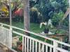 miniature