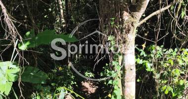exclusivitÉ-terrain a vendre-bouillante-bois malher- environnement calme