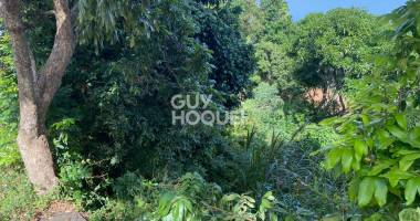 terrain constructible 300m2 - entre deux-ravine des citrons