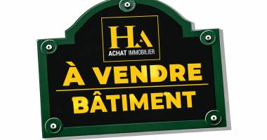 immeuble saint benoit 6 pièce(s) 370 m2