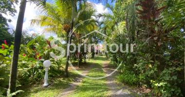 maison individuelle 125 m2 - 3 chambres - jardin