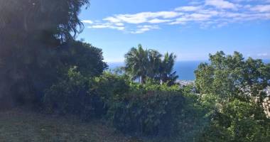 terrain - 4800 m²