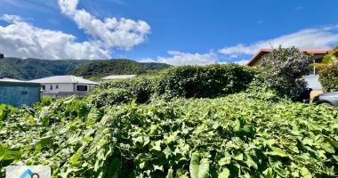 saint joseph 97480 - vaste terrain vplat  - zone u5vi - cadre bucolique