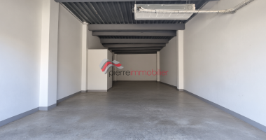 entrepot / local commercial 80 m2 en zi
