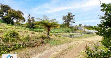 tampon 97430 - terrain plat - zone uc - environnement calme