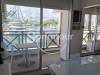 miniature
