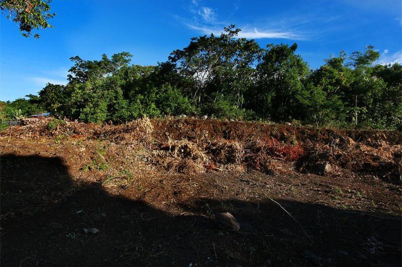 Achat terrain SainteClotilde (97490) Réunion Nord Réf. TTER66434