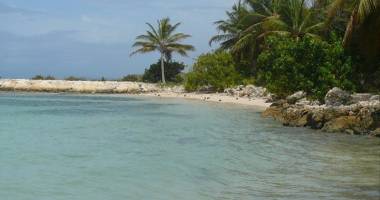 st francois. residence anse des rochers. appartement t1 ne villa de 4 appartements.  au sein d'une tres ...