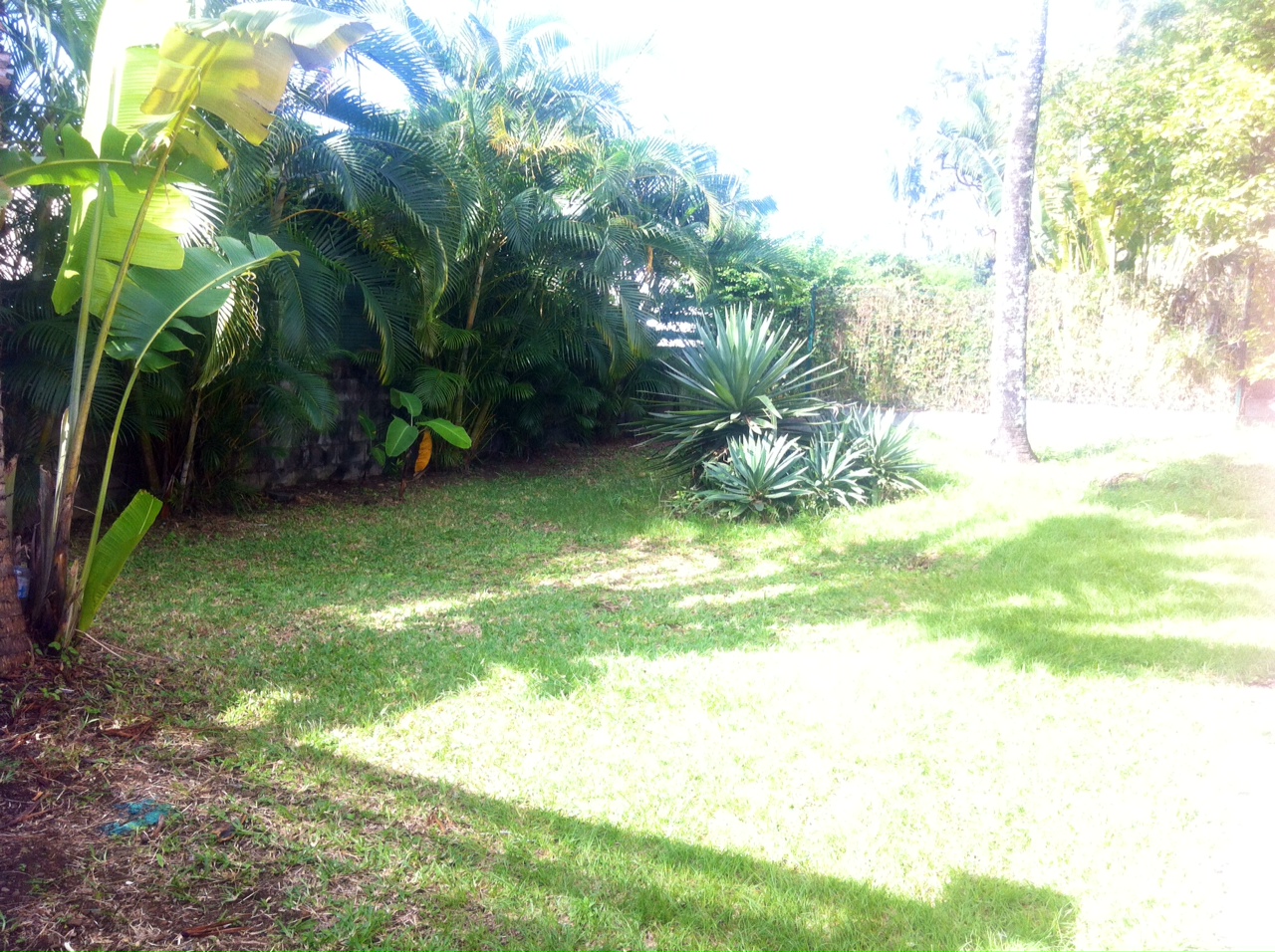 Location maison SainteMarie (97438) Réunion Nord Réf. 12310