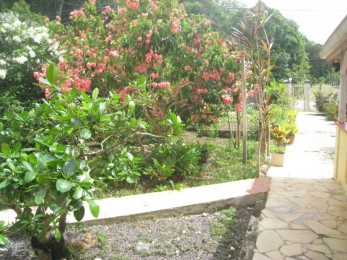 Location Maison Les Abymes (97139) - GUADELOUPE