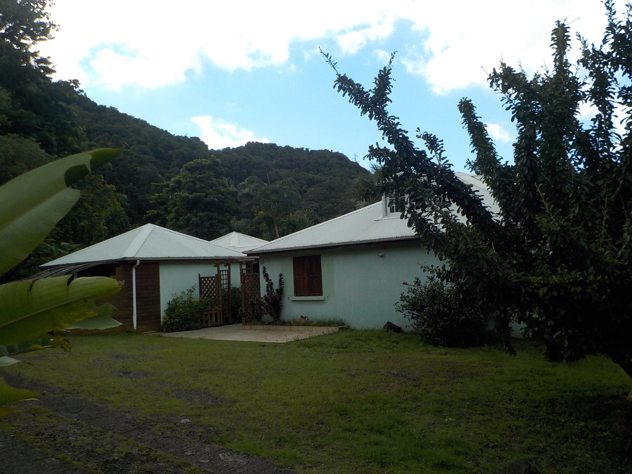 Achat propriete Pointe Noire (97116) Guadeloupe Basse Terre Nord Réf