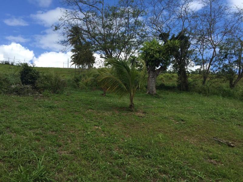 Achat terrain Petit Bourg (97170) Guadeloupe Basse Terre Nord Réf