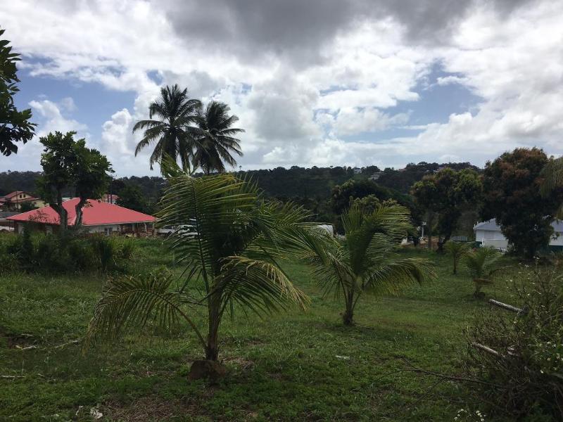 Achat terrain Petit Bourg (97170) Guadeloupe Basse Terre Nord Réf