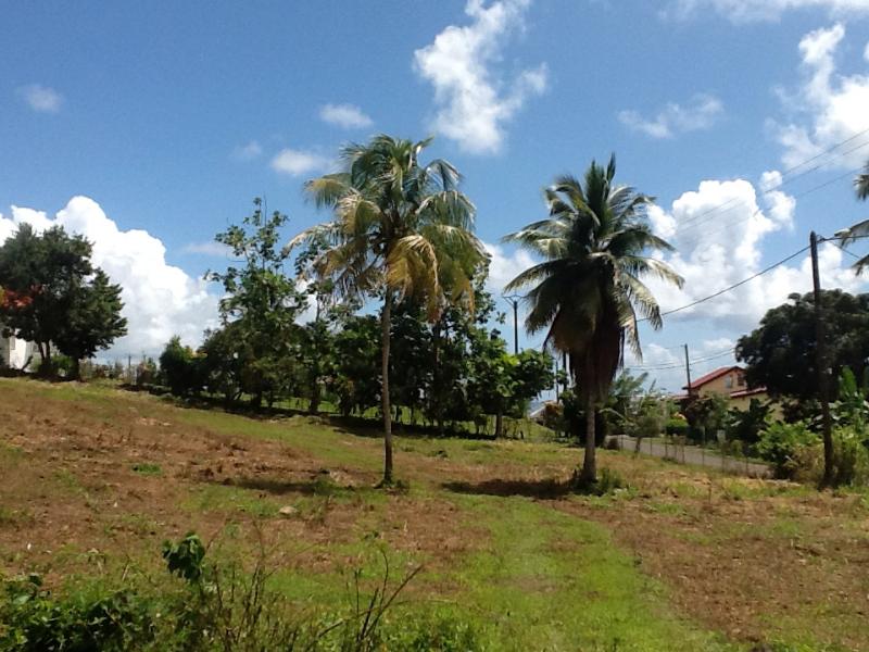 Achat terrain Petit Bourg (97170) Guadeloupe Basse Terre Nord Réf