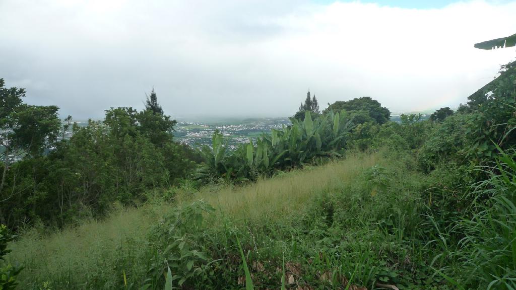 Achat terrain SainteClotilde (97490) Réunion Nord Réf. V566