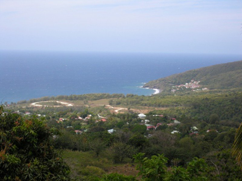 Achat terrain Trois Rivières (97114) Guadeloupe Basse Terre Sud Réf. 908