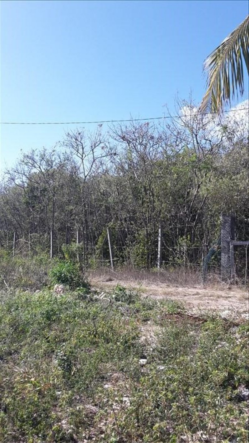 Achat terrain Petit Canal (97131) Guadeloupe Grande Terre Nord Réf. 01511