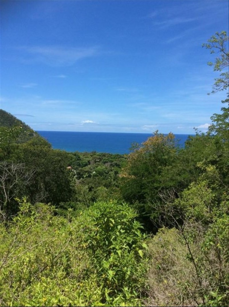 Achat terrain Pointe Noire (97116) Guadeloupe Basse Terre Nord Réf. 01556