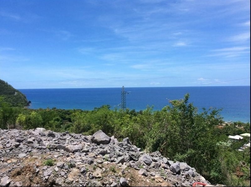 Achat terrain Pointe Noire (97116) Guadeloupe Basse Terre Nord Réf. 01556