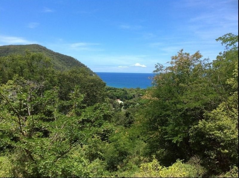 Achat terrain Pointe Noire (97116) Guadeloupe Basse Terre Nord Réf. 01556