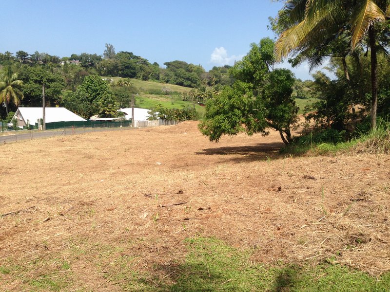 Achat terrain Petit Bourg (97170) Guadeloupe Basse Terre Nord Réf. 13240BV