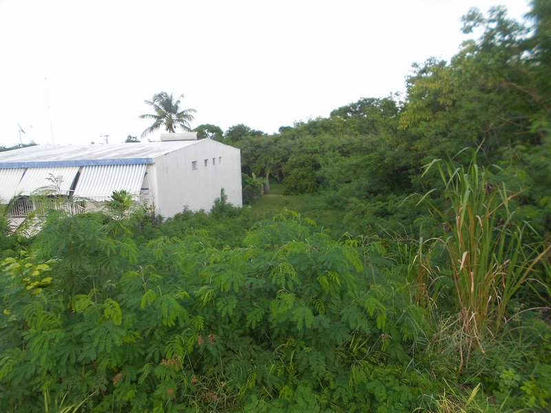 Achat terrain Anse Bertrand (97121) Guadeloupe Grande Terre Nord - Réf ...