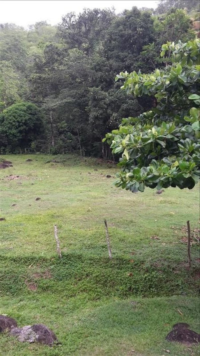 Achat maison Deshaies (97126) Guadeloupe Basse Terre Nord Réf. 01582