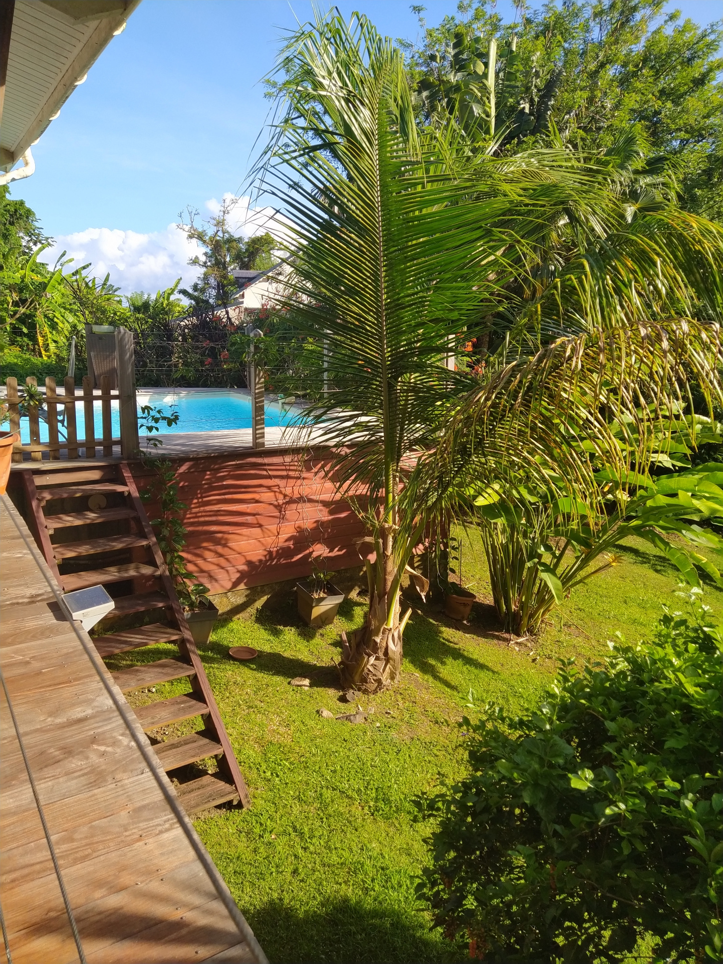 Achat villa Trois Rivières (97114) Guadeloupe Basse Terre Sud Réf. 01129