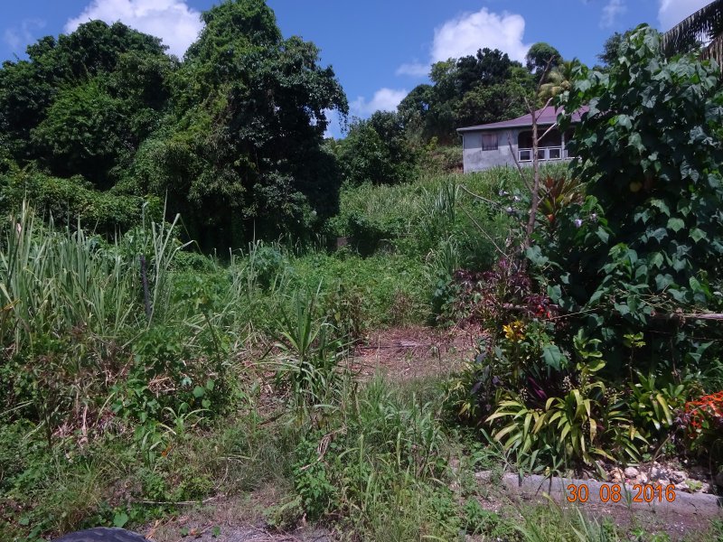 Achat terrain Morne à l'eau (97111) Guadeloupe Grande Terre Nord Réf. 2032