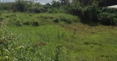 ste rose en face de la plage de cluny terrain 1000 m2