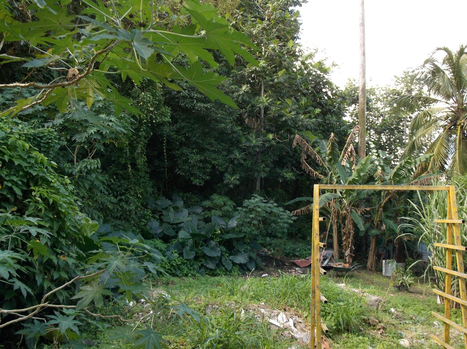 Achat terrain Les Abymes (97139) Guadeloupe Centre Réf. 2076